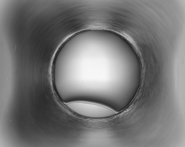X0000093600864200710150956