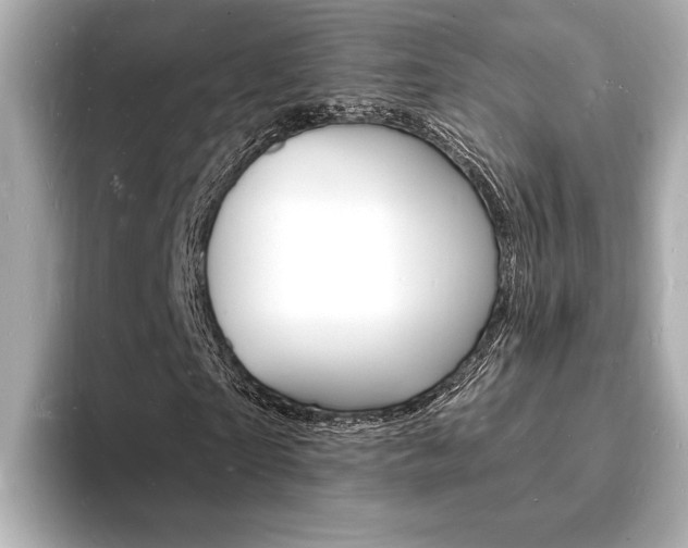 X0000093600865200710150956