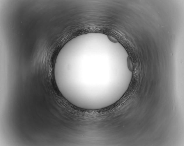 X0000093600866200710150956