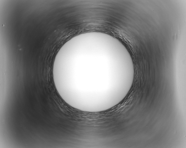 X0000093600868200710150956