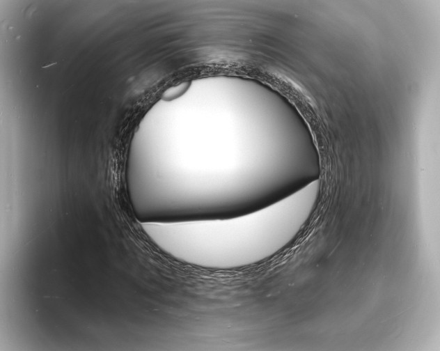 X0000093600869200710150956