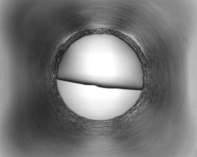 X0000093600871200710150956