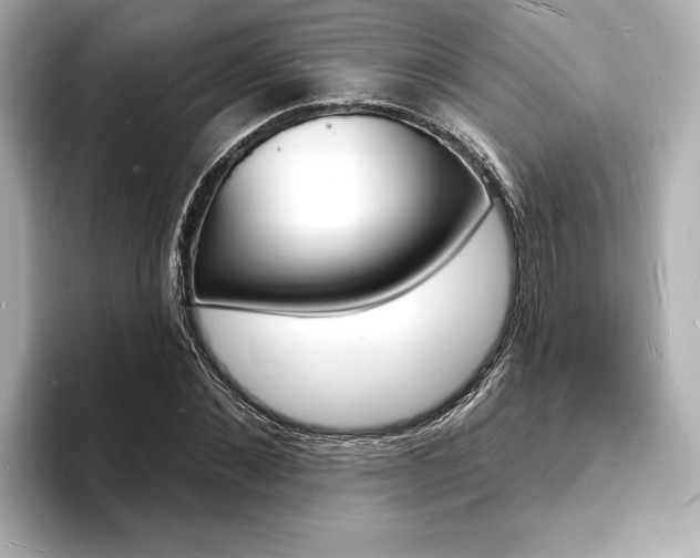 X0000093600876200710150956