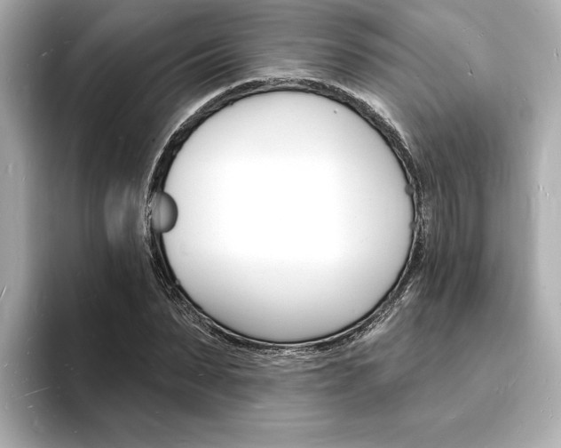X0000093600879200710150956