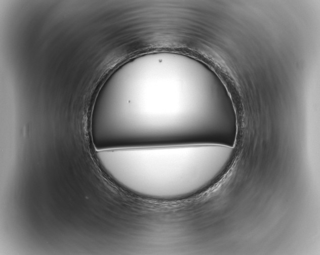 X0000093600881200710150956
