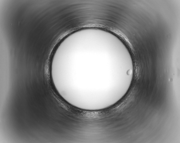 X0000093600882200710150956