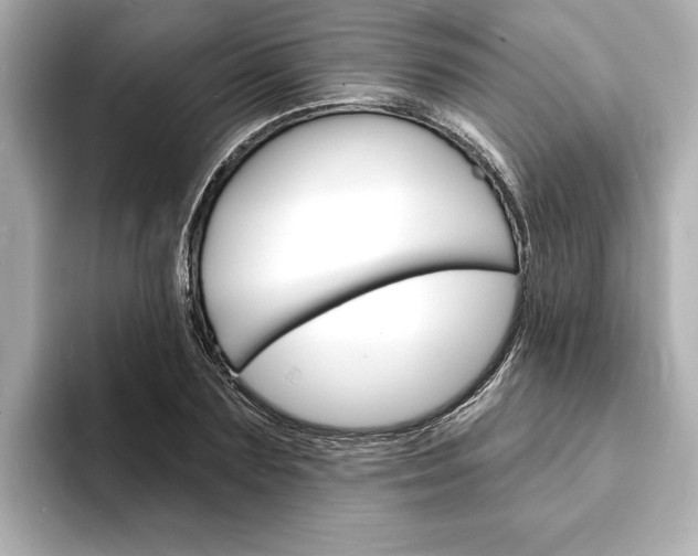 X0000093600883200710150956