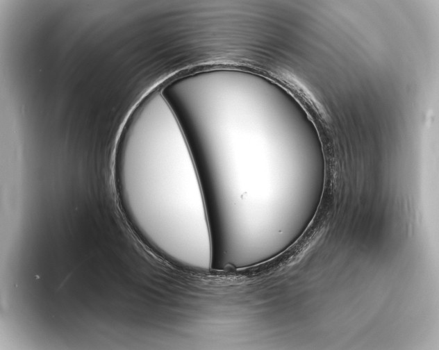 X0000093600884200710150956