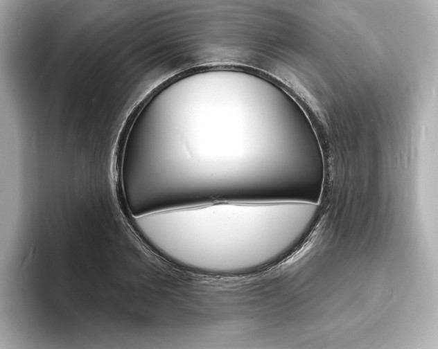 X0000093600885200710150956