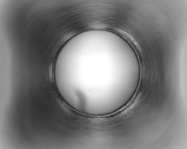 X0000093600889200710150956