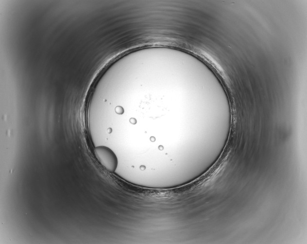 X0000093600891200710150956