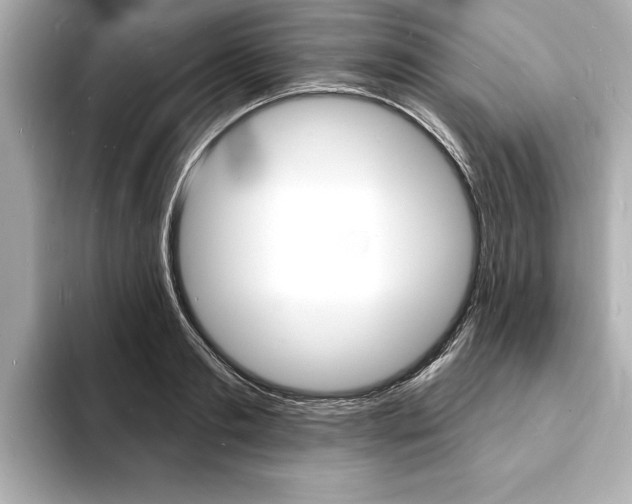 X0000093600893200710150956