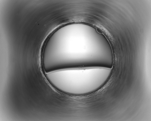 X0000093600894200710150956