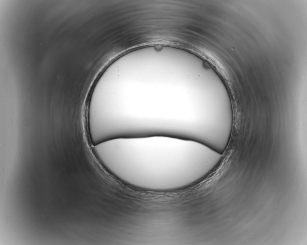 X0000093600899200710150956