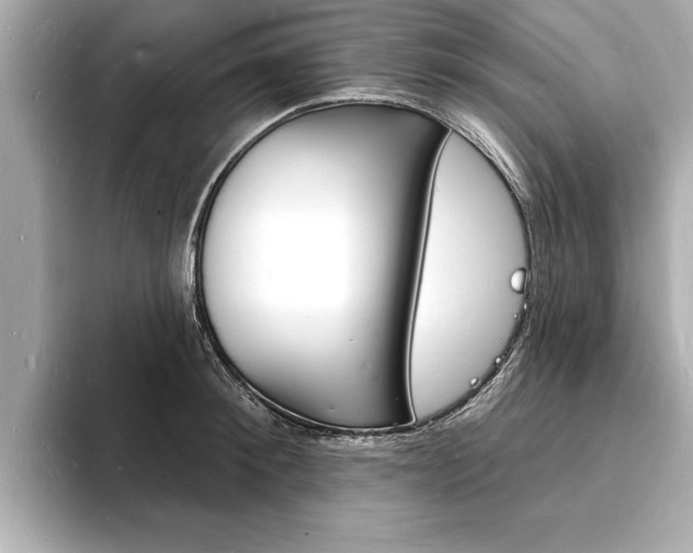 X0000093600900200710150955