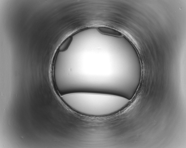 X0000093600901200710150955