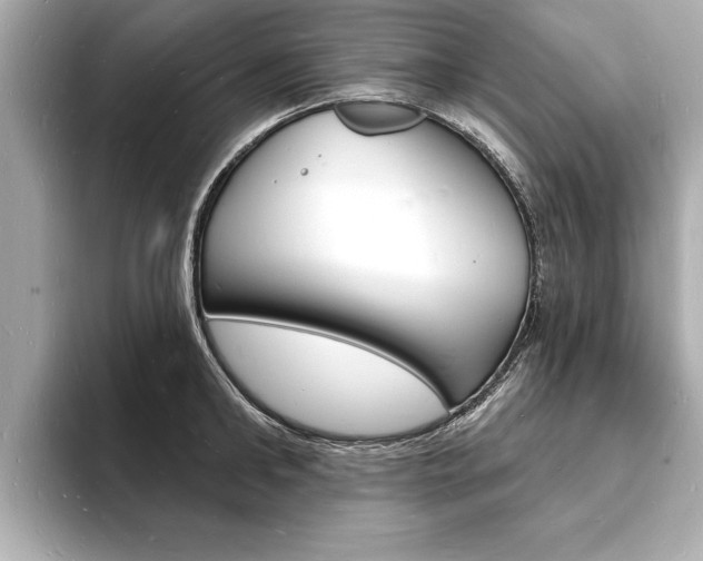 X0000093600902200710150955