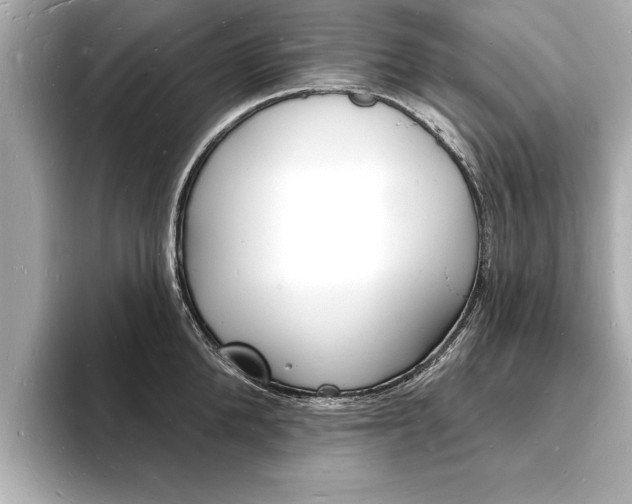 X0000093600904200710150955