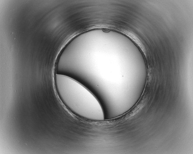 X0000093600906200710150955