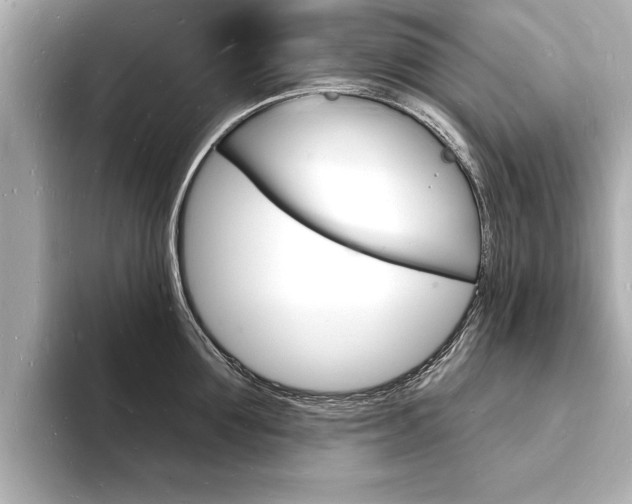 X0000093600907200710150955