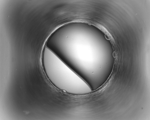 X0000093600908200710150955