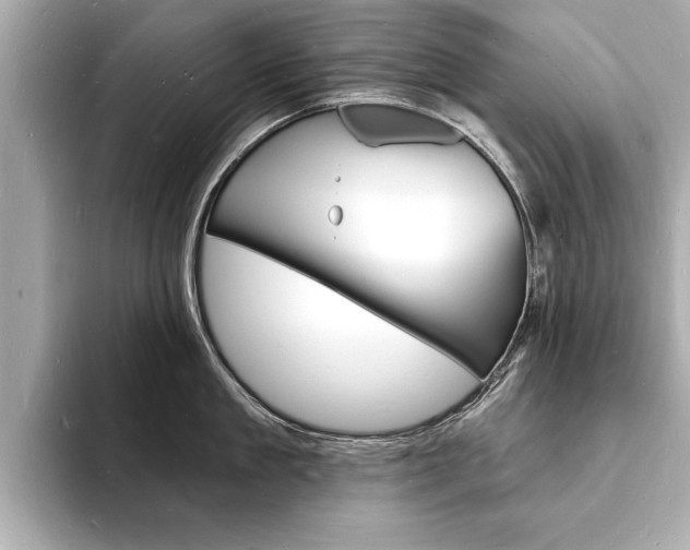 X0000093600909200710150955