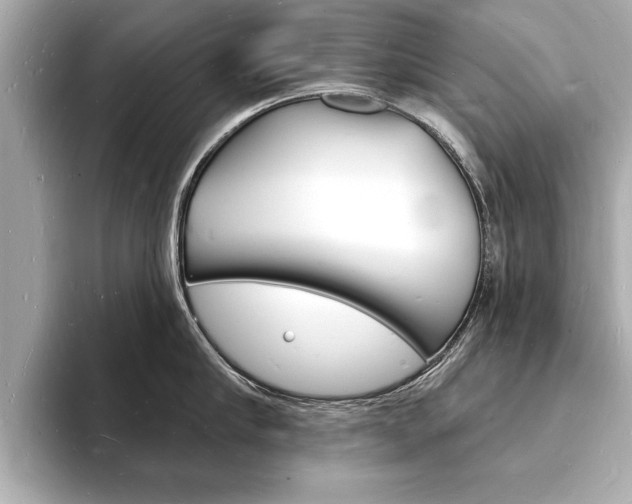 X0000093600910200710150955