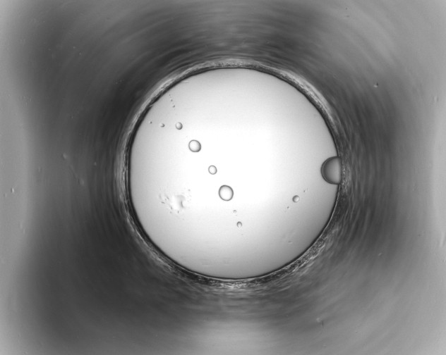 X0000093600911200710150955