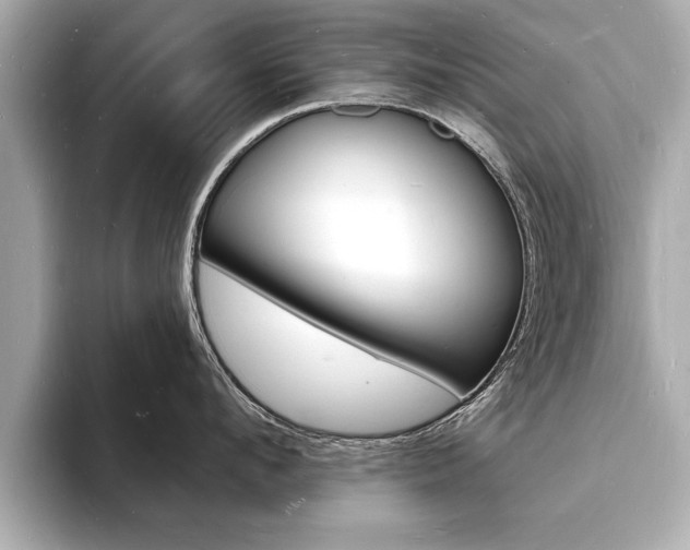 X0000093600912200710150955
