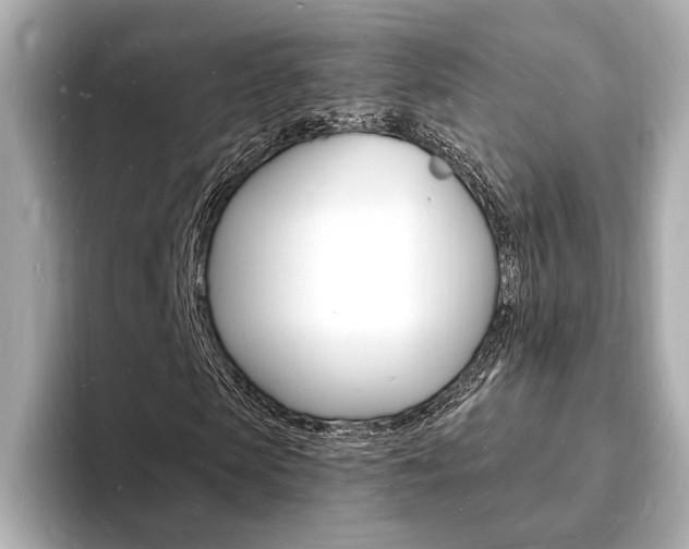 X0000093600913200710150955