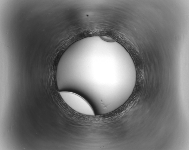 X0000093600914200710150955