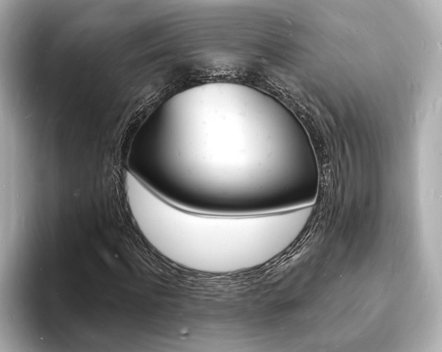 X0000093600916200710150955