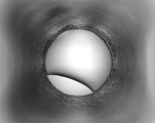 X0000093600917200710150955