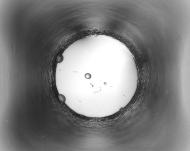X0000093600918200710150955