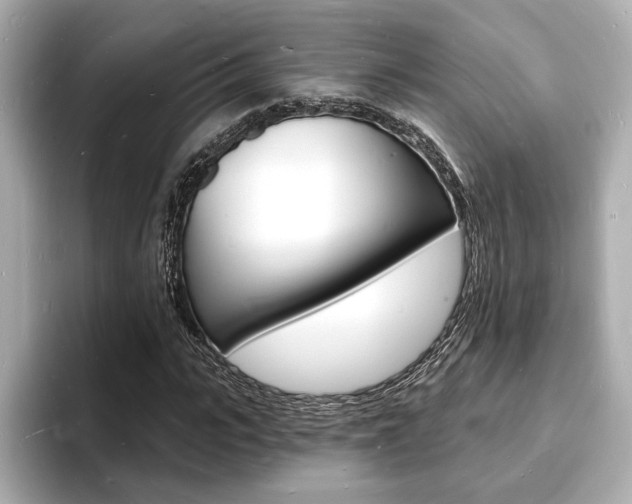 X0000093600919200710150955