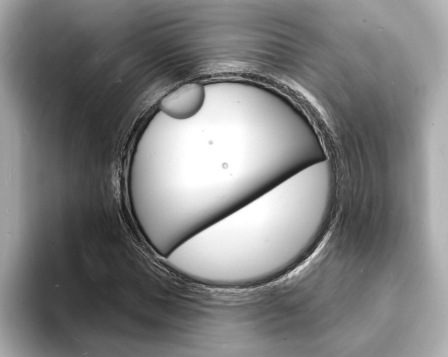 X0000093600921200710150955