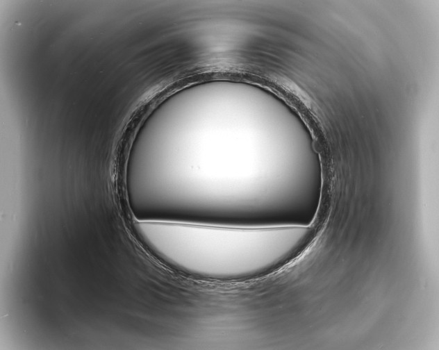 X0000093600922200710150955