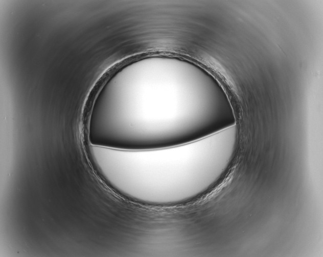 X0000093600924200710150955