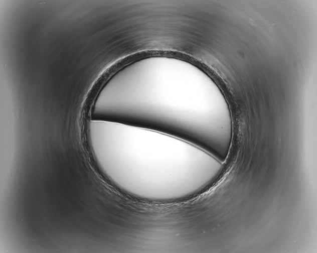 X0000093600926200710150955