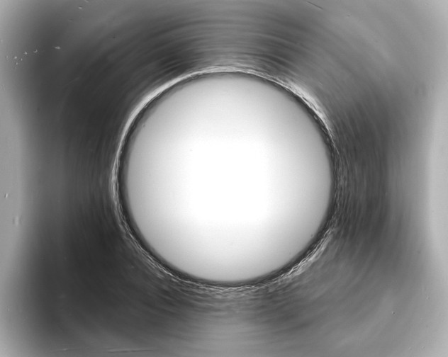X0000093600928200710150955
