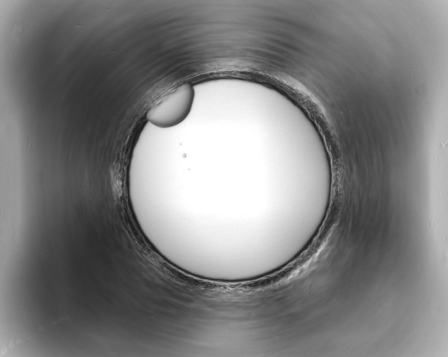 X0000093600929200710150955