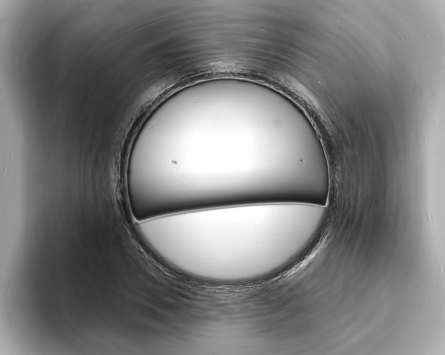 X0000093600930200710150955