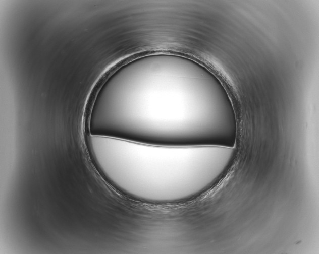 X0000093600932200710150955