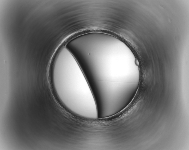 X0000093600934200710150955