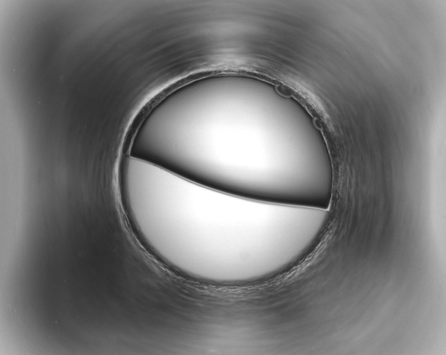 X0000093600936200710150955