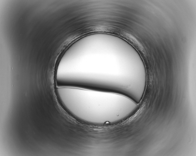 X0000093600938200710150955
