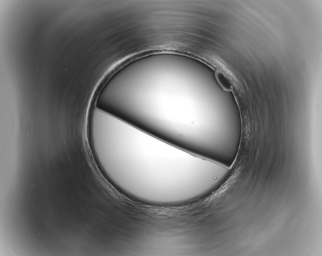 X0000093600940200710150955