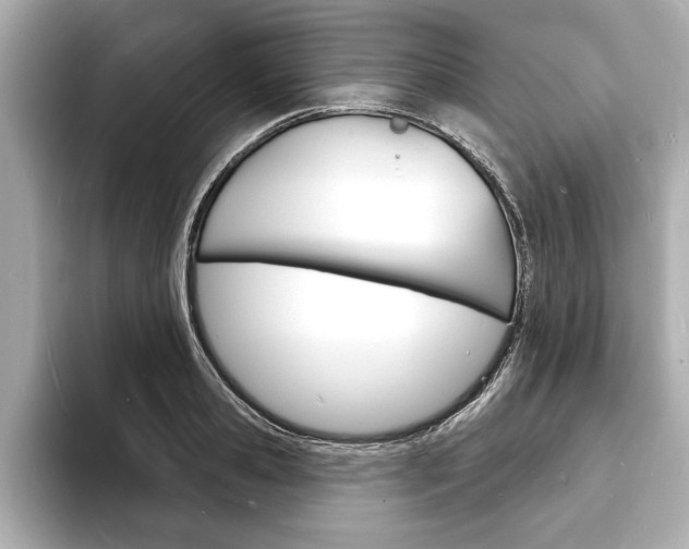 X0000093600941200710150955