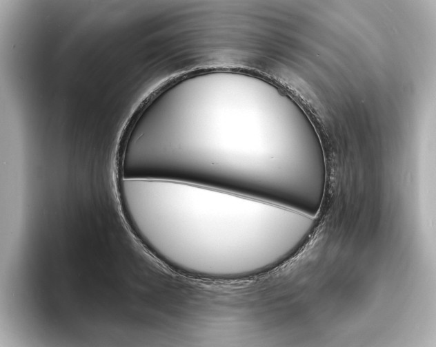X0000093600942200710150955