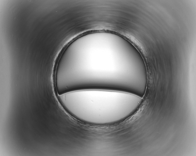 X0000093600943200710150955